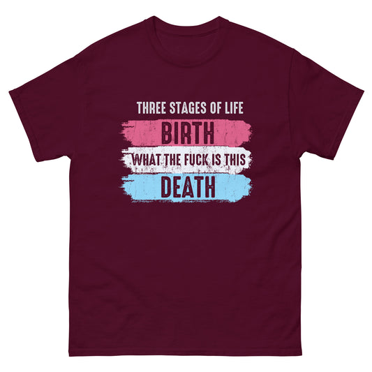 Three Stages Of Life, Birth, What The Fuck Is This, Death, Funny T-Shirt, Irreverent Shirt, Ironic T Shirt, Sarcastic Tee-Shirt, Witty Shirt